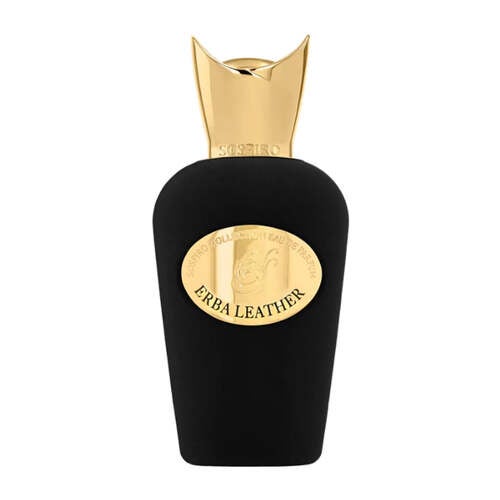 ERBA LEATHER - Eau De Parfum 100 ML